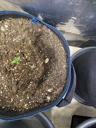 Growreport Bild 8