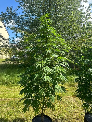 Growreport Bild 19