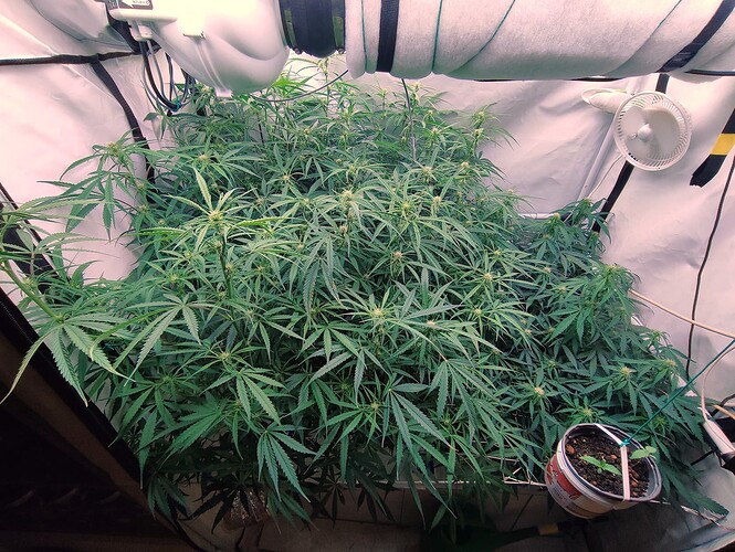 Growreport Bild 2