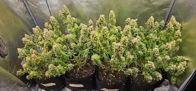Growreport Bild 14