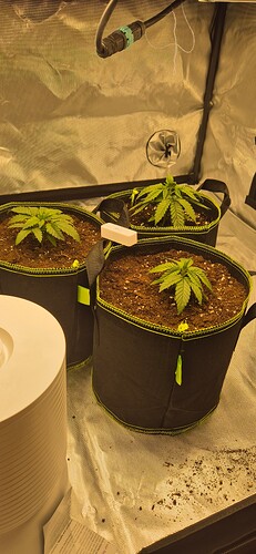 Growreport Bild 28