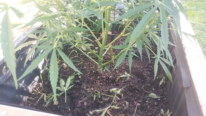 Growreport Bild 16
