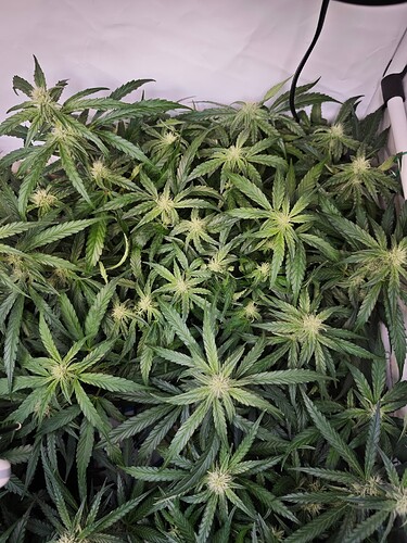 MVIMG_20251028_175603