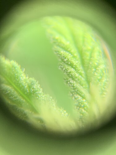 Growreport Bild 10