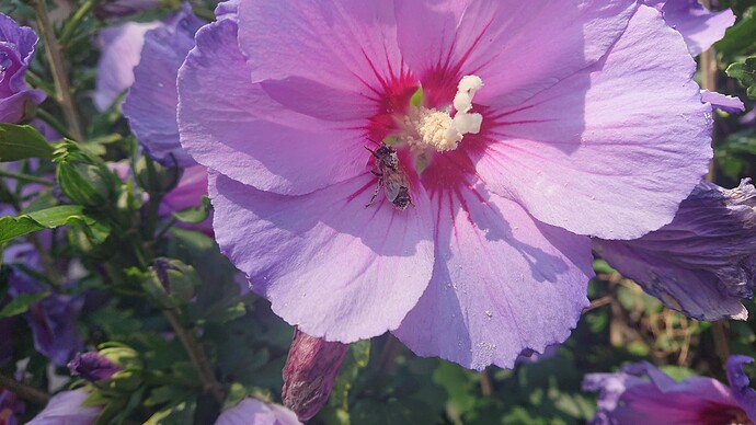 Growreport Bild 70