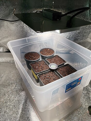 PP, 29.9.25, Samen in Erde