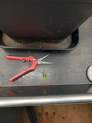 Growreport Bild 5