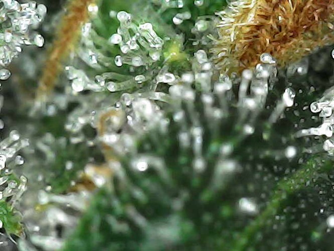 Photo_2025-04-13 17_01_12_240