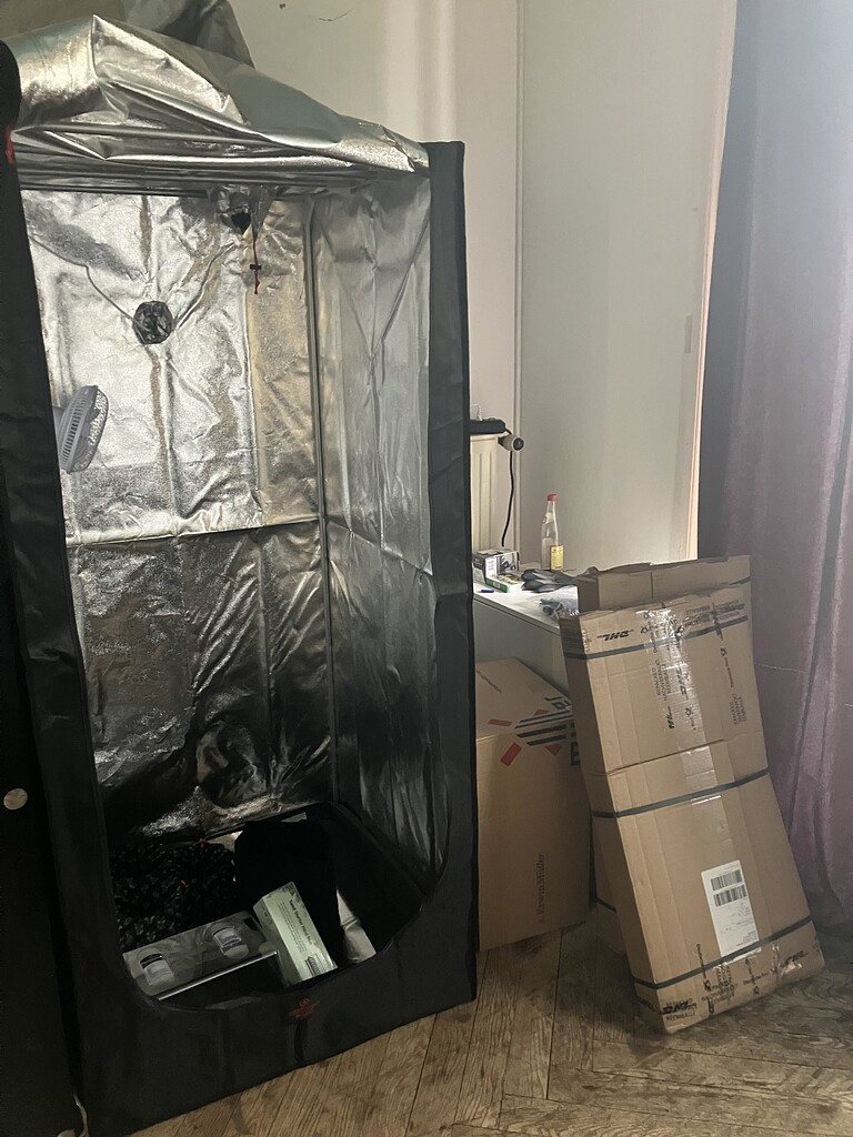 First Time LST; 80x80; LIGHTNING Basic RED 240W; 3 x Girl Scout Cookies