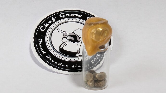 PXL_20240713_113448643