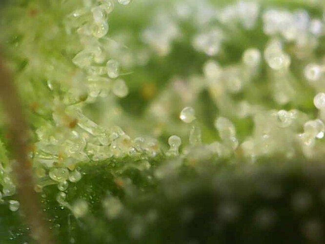 Image_2024-07-15 10_57_44_149