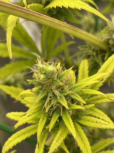 Growreport Bild 12