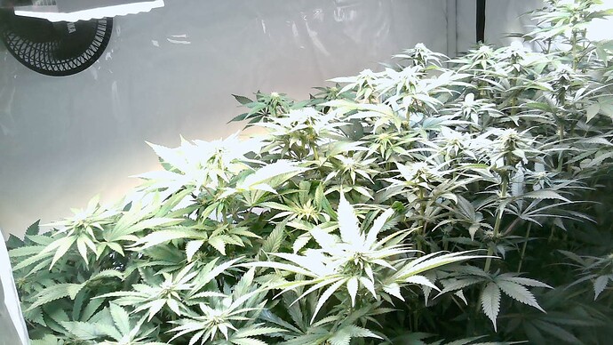 Growreport Bild 9