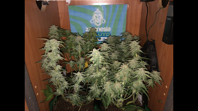 Growreport Bild 22