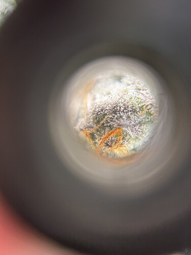 Growreport Bild 23