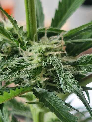 WhatsApp Image 2024-05-27 at 12.39.43 (3)