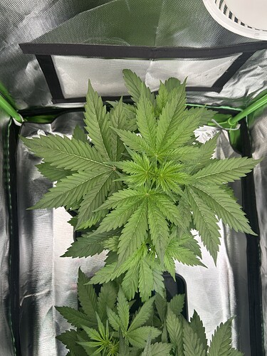 Growreport Bild 8