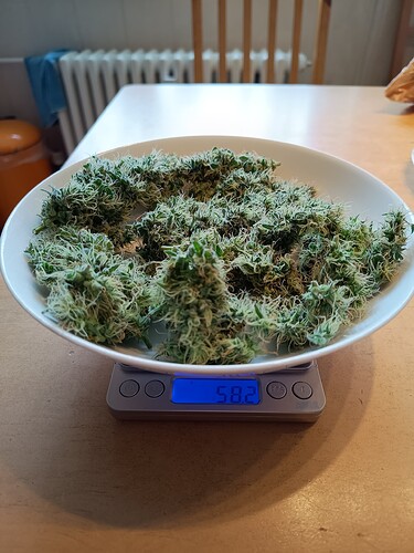 Growreport Bild 10
