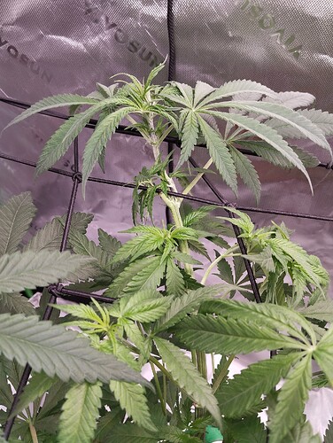 Growreport Bild 6