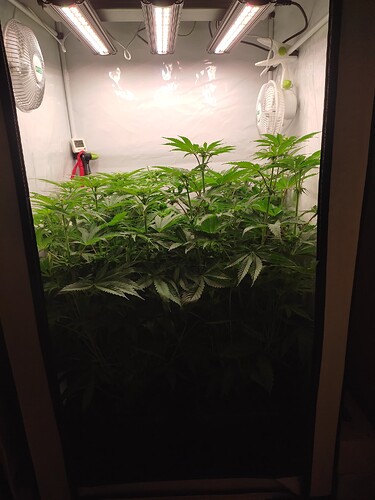 Growreport Bild 16