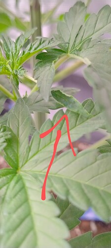 IMG_20250116_142300868_HDR (1)