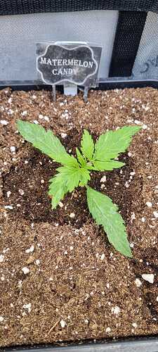 WhatsApp Image 2025-11-28 at 22.49.57 (2)