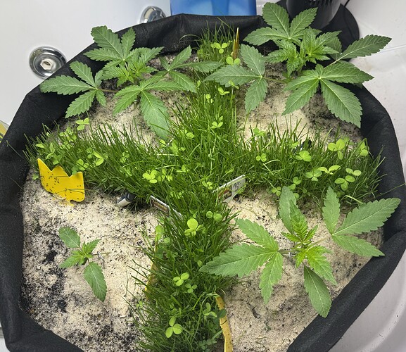 Growreport Bild 2