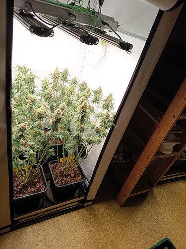 Growreport Bild 23