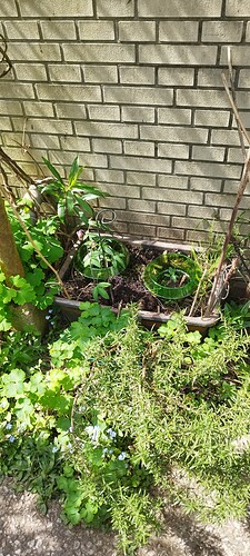 Growreport Bild 20
