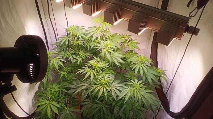 Growreport Bild 4