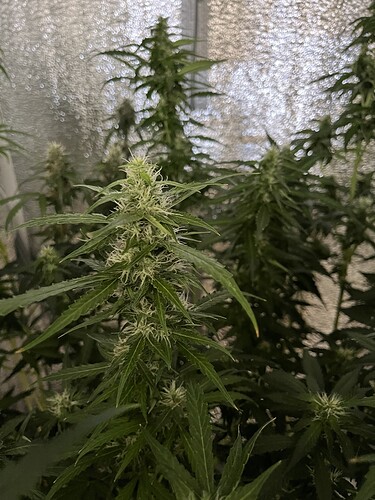 Growreport Bild 7