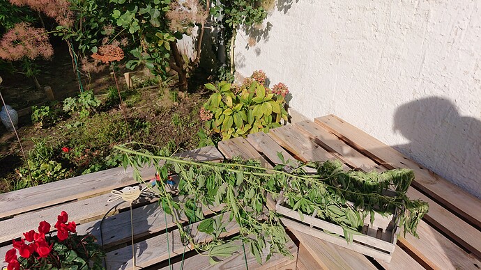 Growreport Bild 89