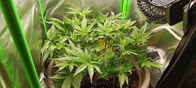 Growreport Bild 4