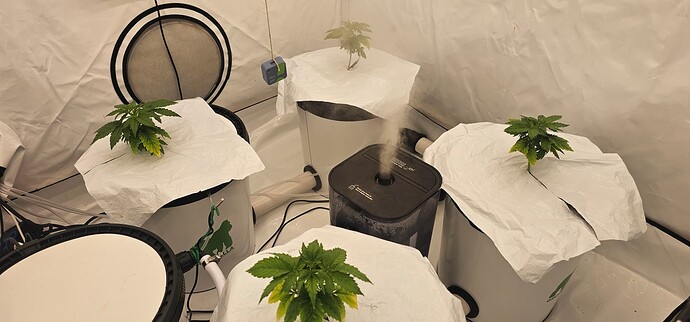 Growreport Bild 23