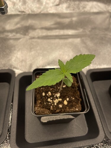Growreport Bild 22