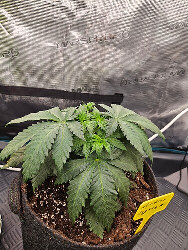 Growreport Bild 11