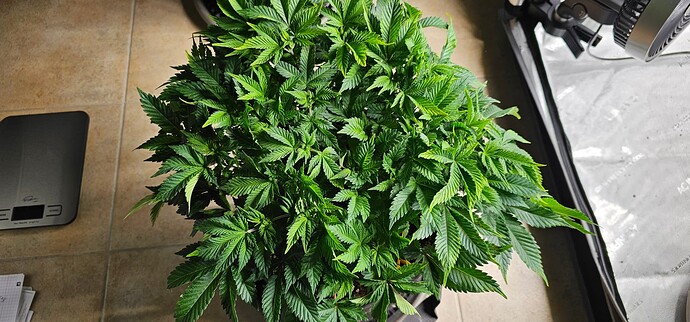 Growreport Bild 11