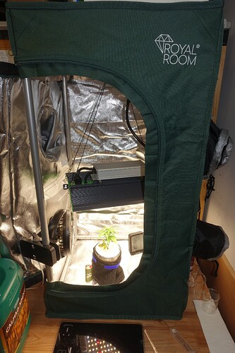 Growreport Bild 1