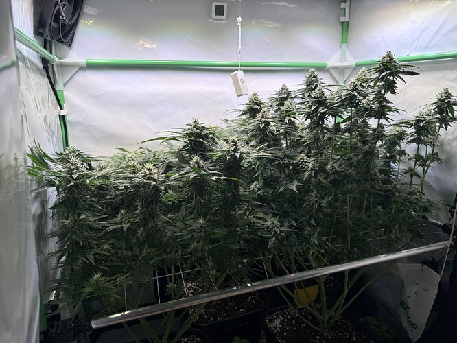 Growreport Bild 2