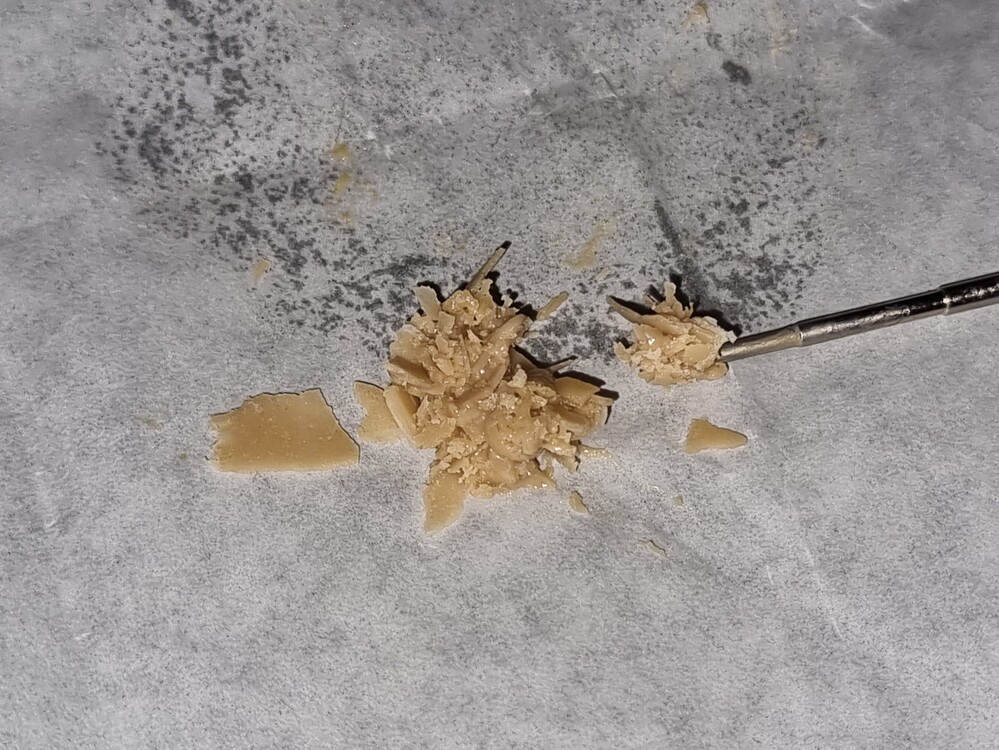 Dudes growing adventure - 3er Auto-Cycle [Nicht nachmachen!] - Dark Devil; Choco; Sweet Mandarine Zkittlez XL; Strawberry Gorilla; Strawberry Banana; Sweet Cheese XL; Cherry Cola; Orange Apricot Glue XL (abgeschlossen)