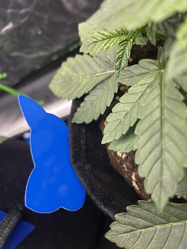 Growreport Bild 10