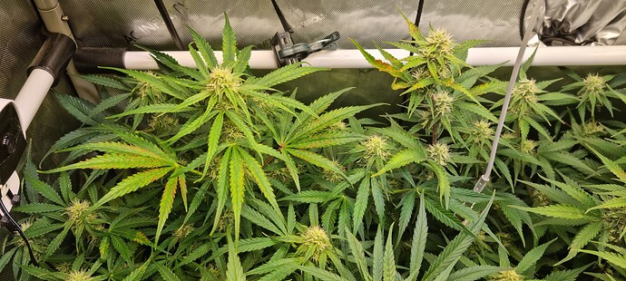Growreport Bild 9