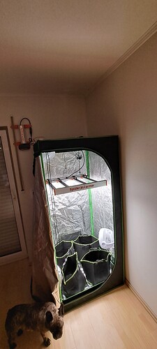 Growreport Bild 3