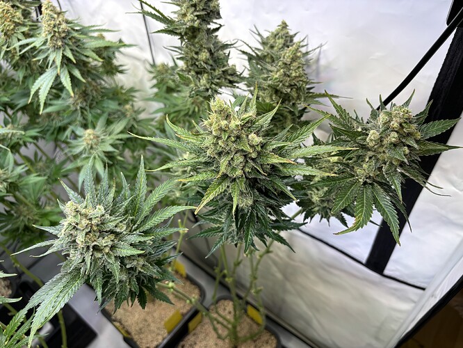 Growreport Bild 24