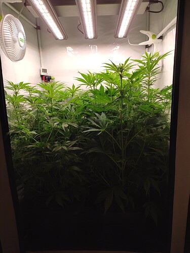Growreport Bild 13