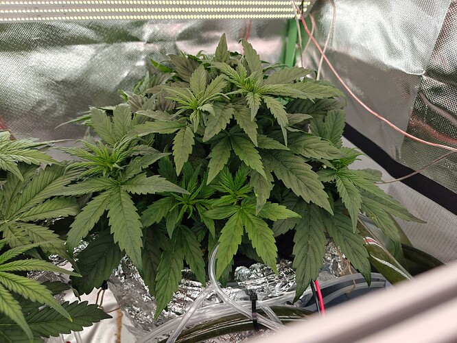 Growreport Bild 23