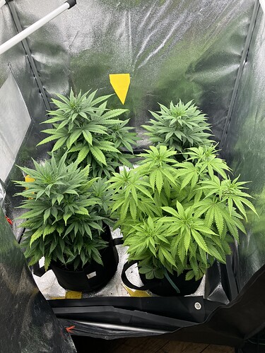 Growreport Bild 10