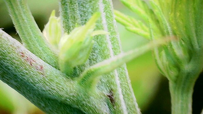 Growreport Bild 7
