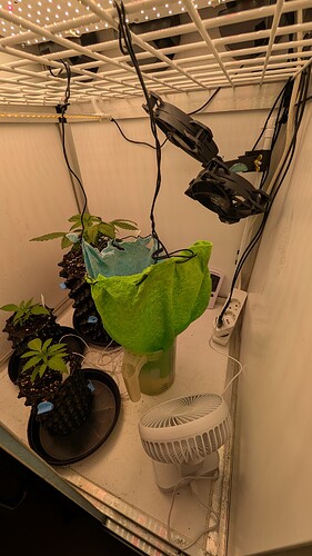 PXL_20250328_071733682.MP