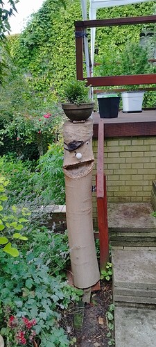 Growreport Bild 25